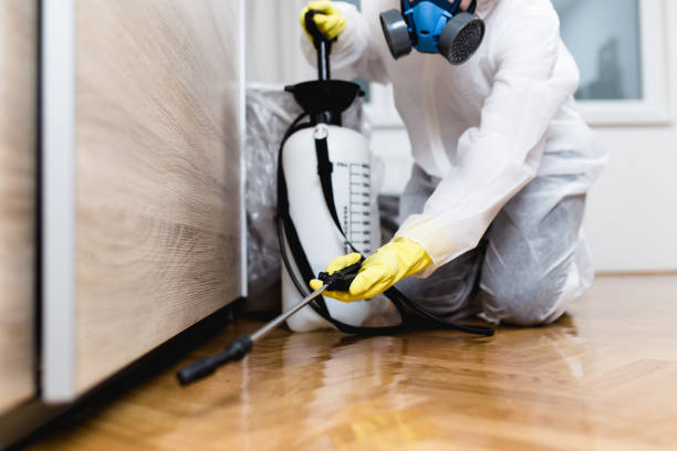 Best Residential Pest Control  in Boronda, CA