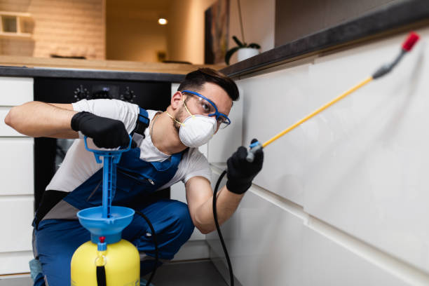 Wasp Removal Services in Boronda, CA