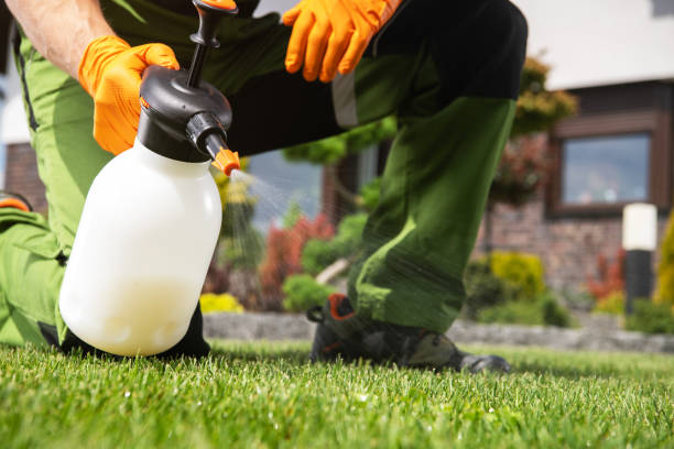 Trusted Boronda, CA Pest Control Experts